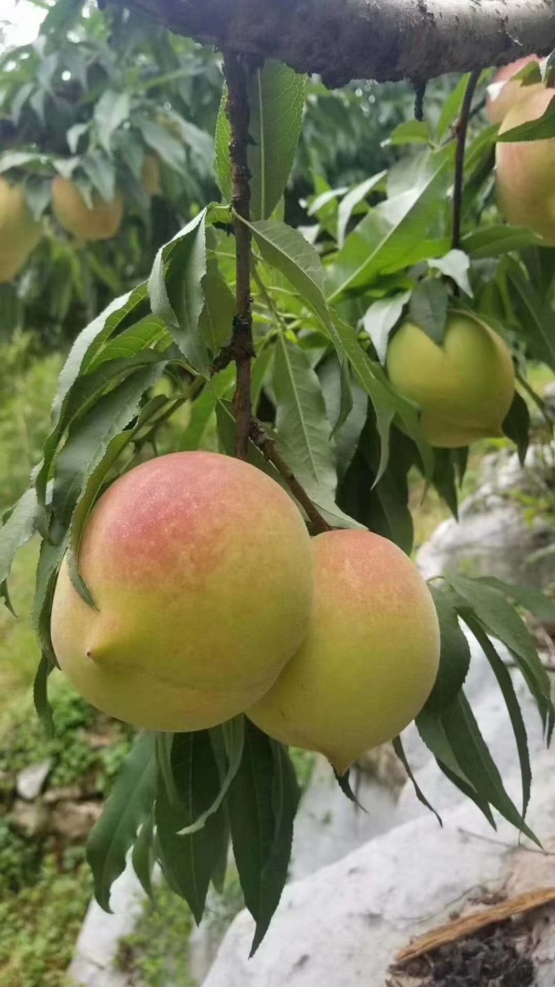 连山旧城鹰嘴挑