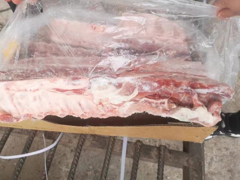 母猪龙骨