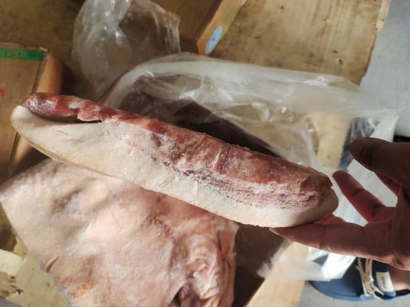 肥猪前上肉