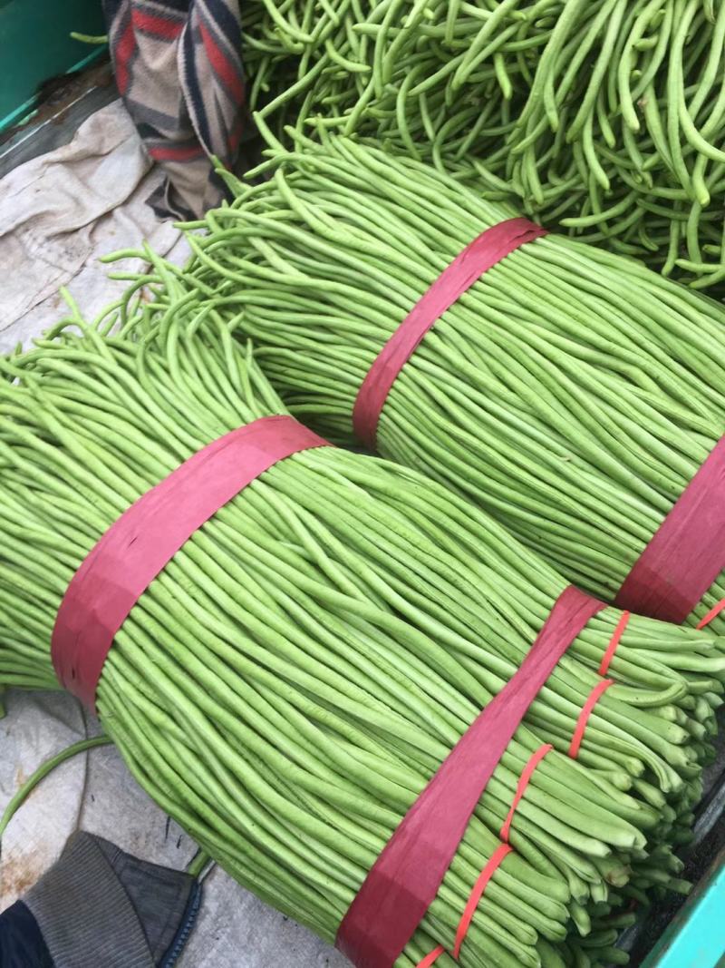 精品长豆角，货量充足，备有大型冷库，可供应大型市场