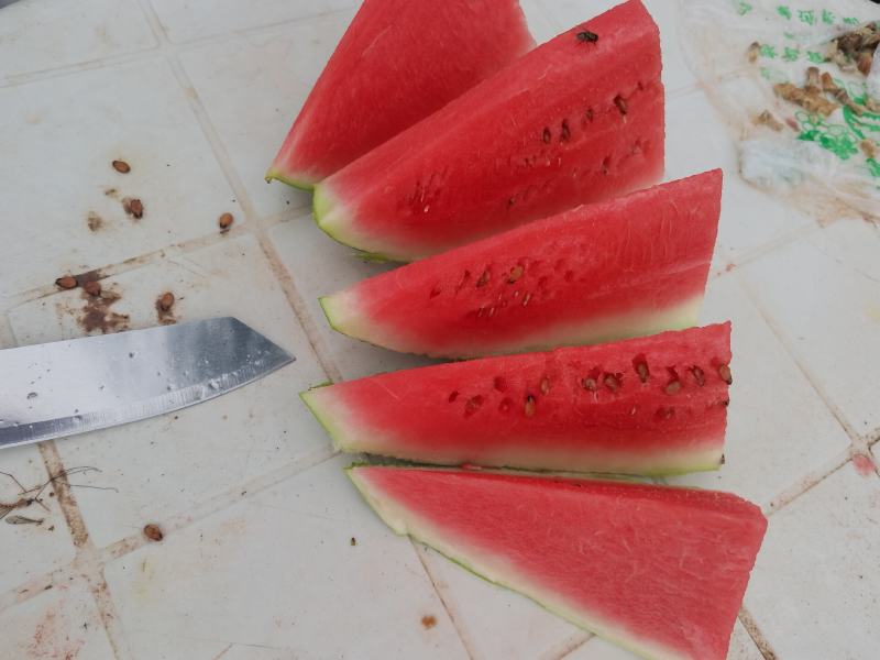 西农八西瓜各种规格都有优质货源充足满足商超批发商