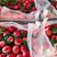 【优质商家】红油桃大量上市中，品种齐全，口感香甜视频看货