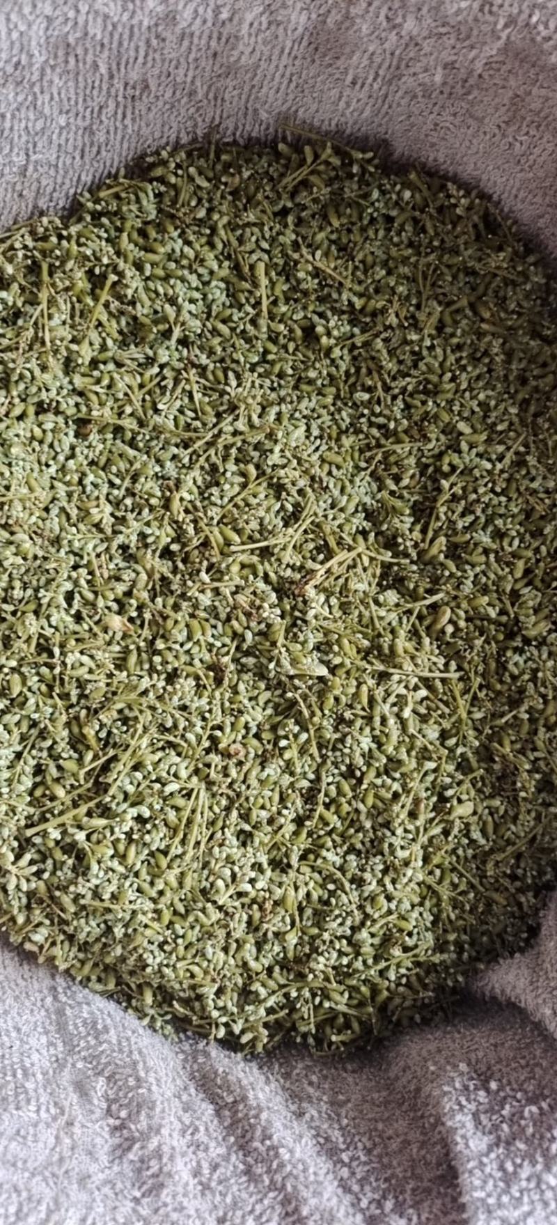 今年新产槐米(纯手工蒸)