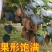 【诚信商家】万亩猕猴桃种植基地，湖南湘西猕猴桃现摘现发
