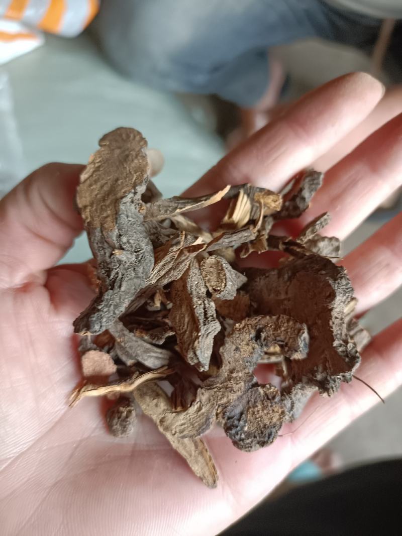 地榆片野生产地现货批发3斤起批个片都有一手货源