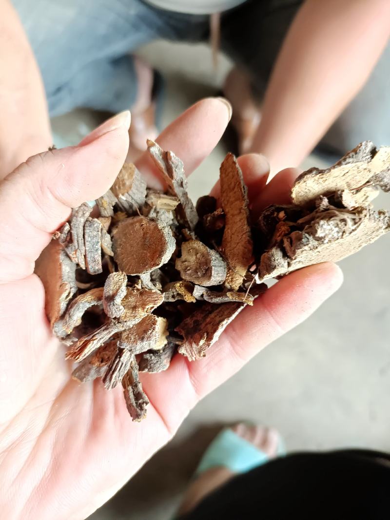 地榆片野生产地现货批发3斤起批个片都有一手货源