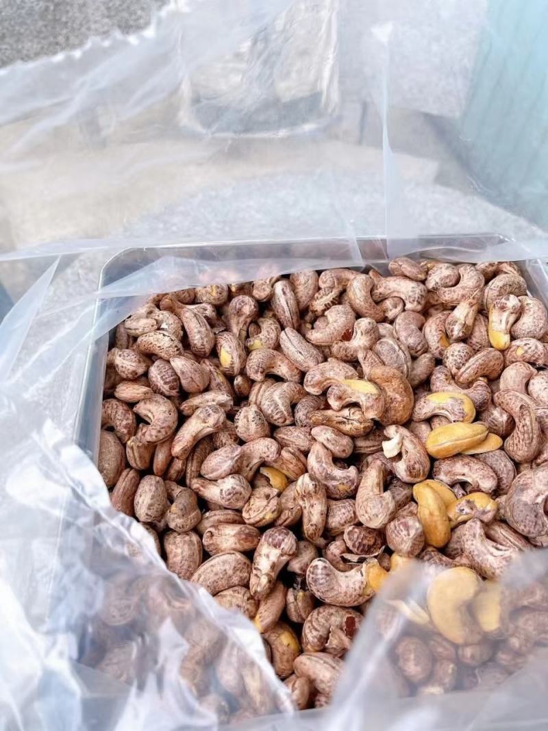 A180越南大颗粒腰果源头厂家20公斤一件货整件批发