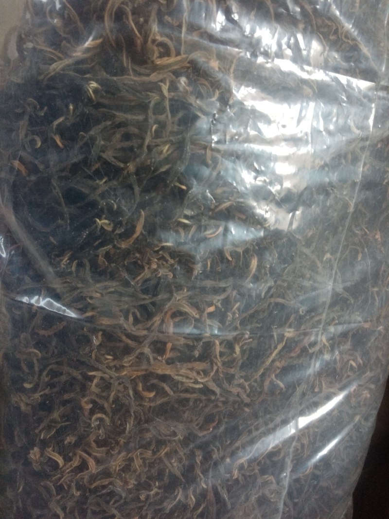优质精陕南城固大量供应日晒干豇豆干豆角鲜豇豆颜色好。