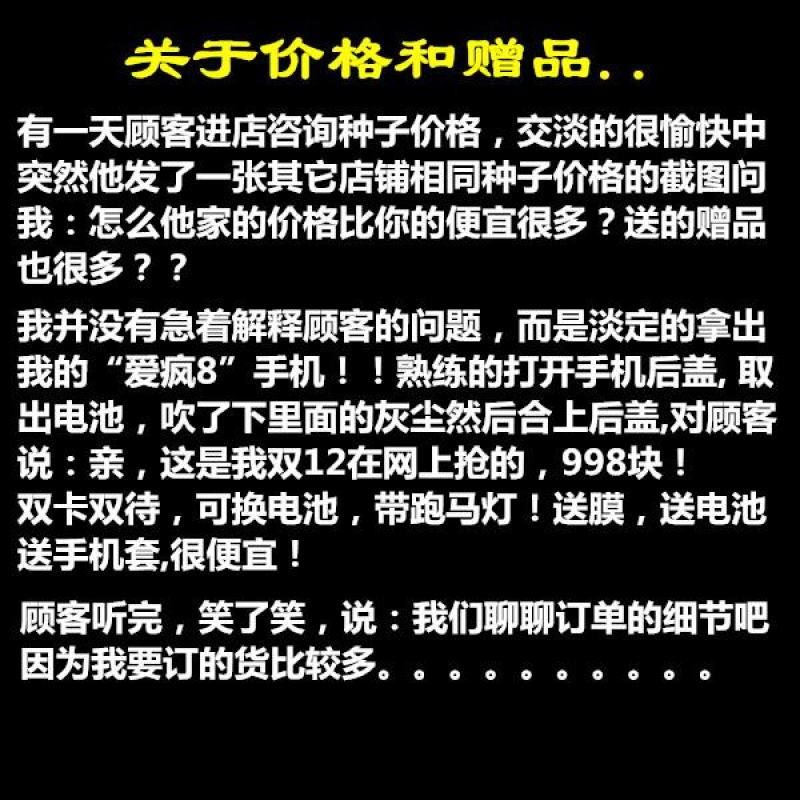 南非万寿菊种子蓝目菊非洲菊种子耐寒景观园林庭院花卉四季花