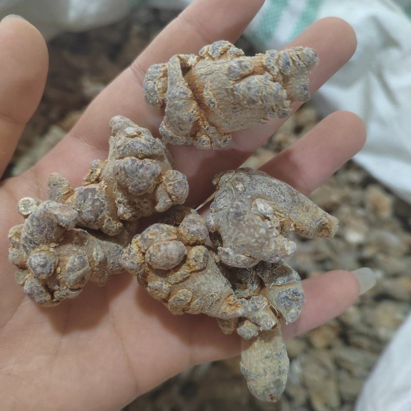 三七，三七粉，各种规格产地大货，一手货源可打粉
