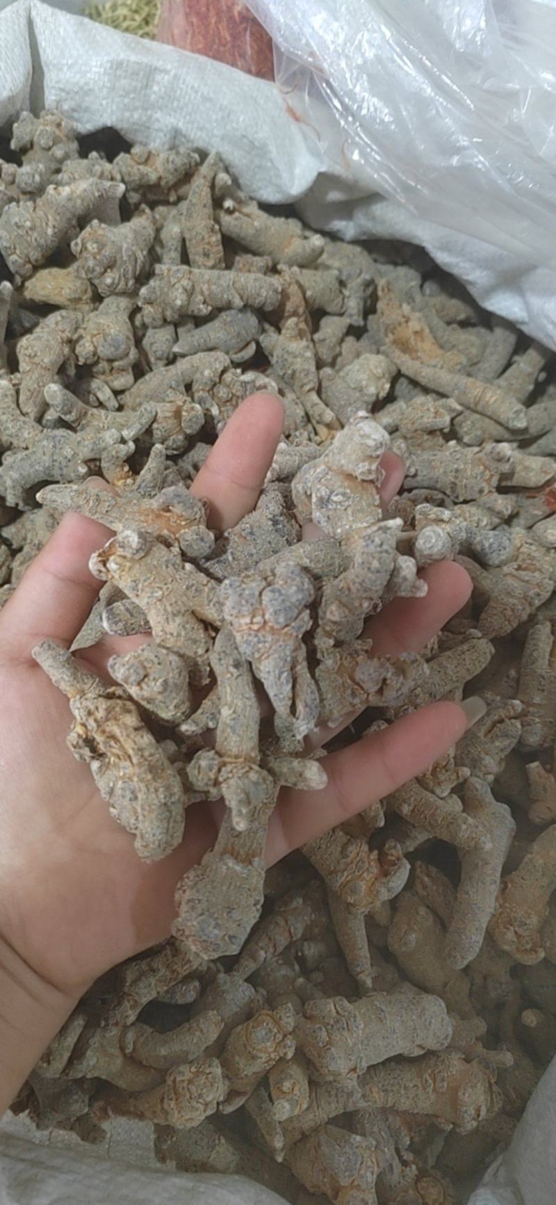 三七，三七粉，各种规格产地大货，一手货源可打粉