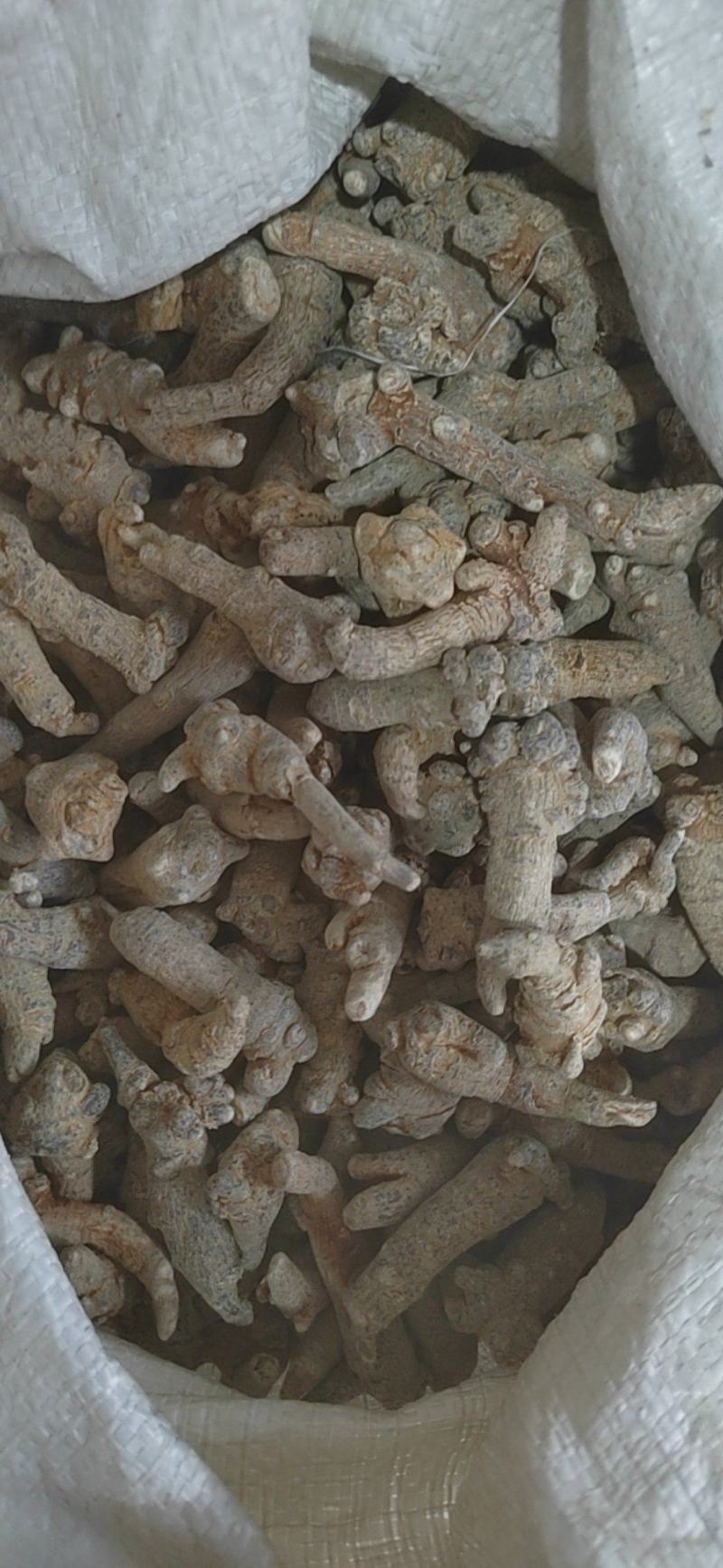 三七，三七粉，各种规格产地大货，一手货源可打粉