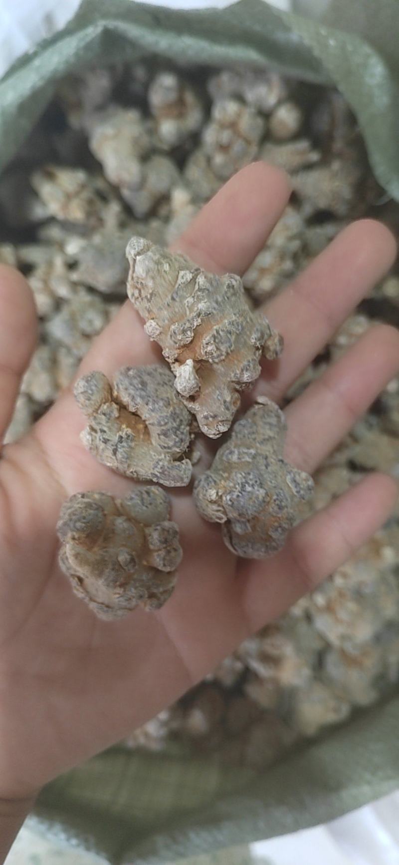 三七，三七粉，各种规格产地大货，一手货源可打粉