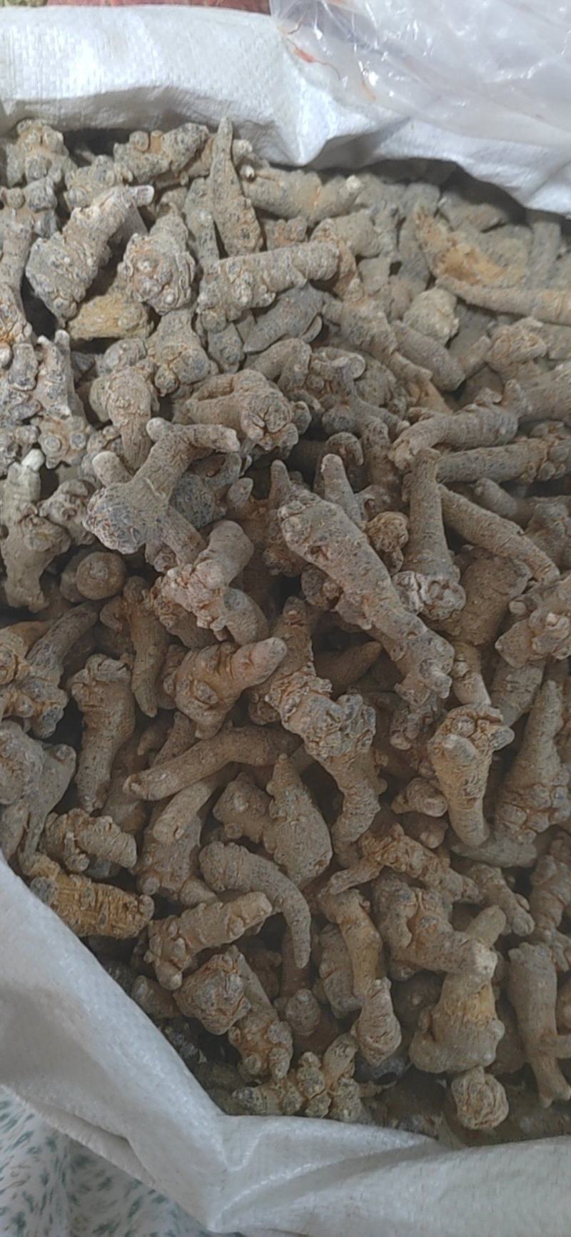 三七，三七粉，各种规格产地大货，一手货源可打粉