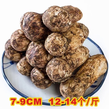 松茸己上市！海拔越高，品质越好！甘孜州的松茸松茸界劳斯莱