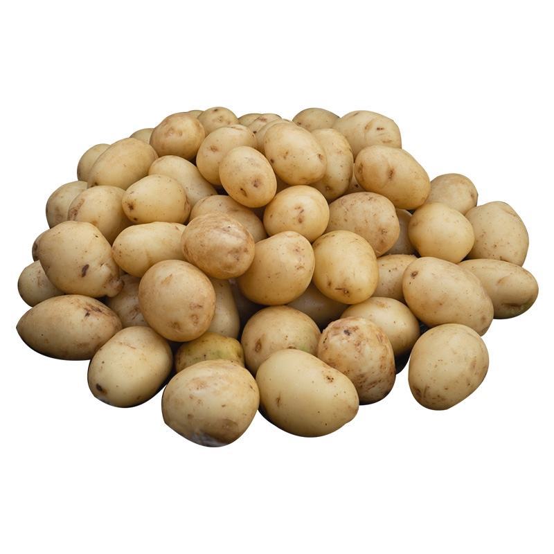 基地直批恩施小土豆（洋芋）纯绿色健康食品