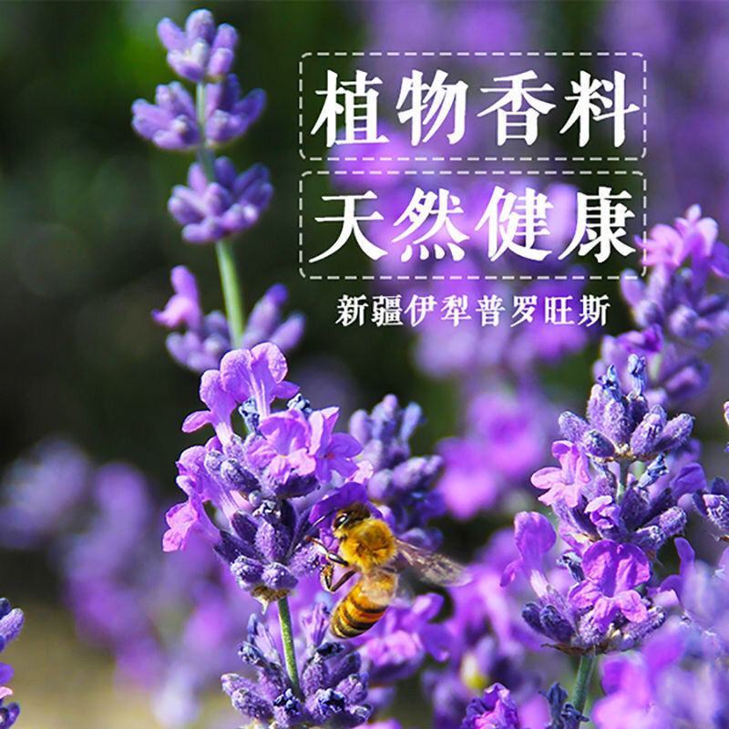【送纱袋】新疆伊犁天然薰衣草干花薰衣草房间衣柜去味填充枕