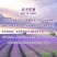 【送纱袋】新疆伊犁天然薰衣草干花薰衣草房间衣柜去味填充枕