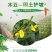 新采护坡灌木籽木豆种子适应性强适合斜坡边坡固土复绿化工程