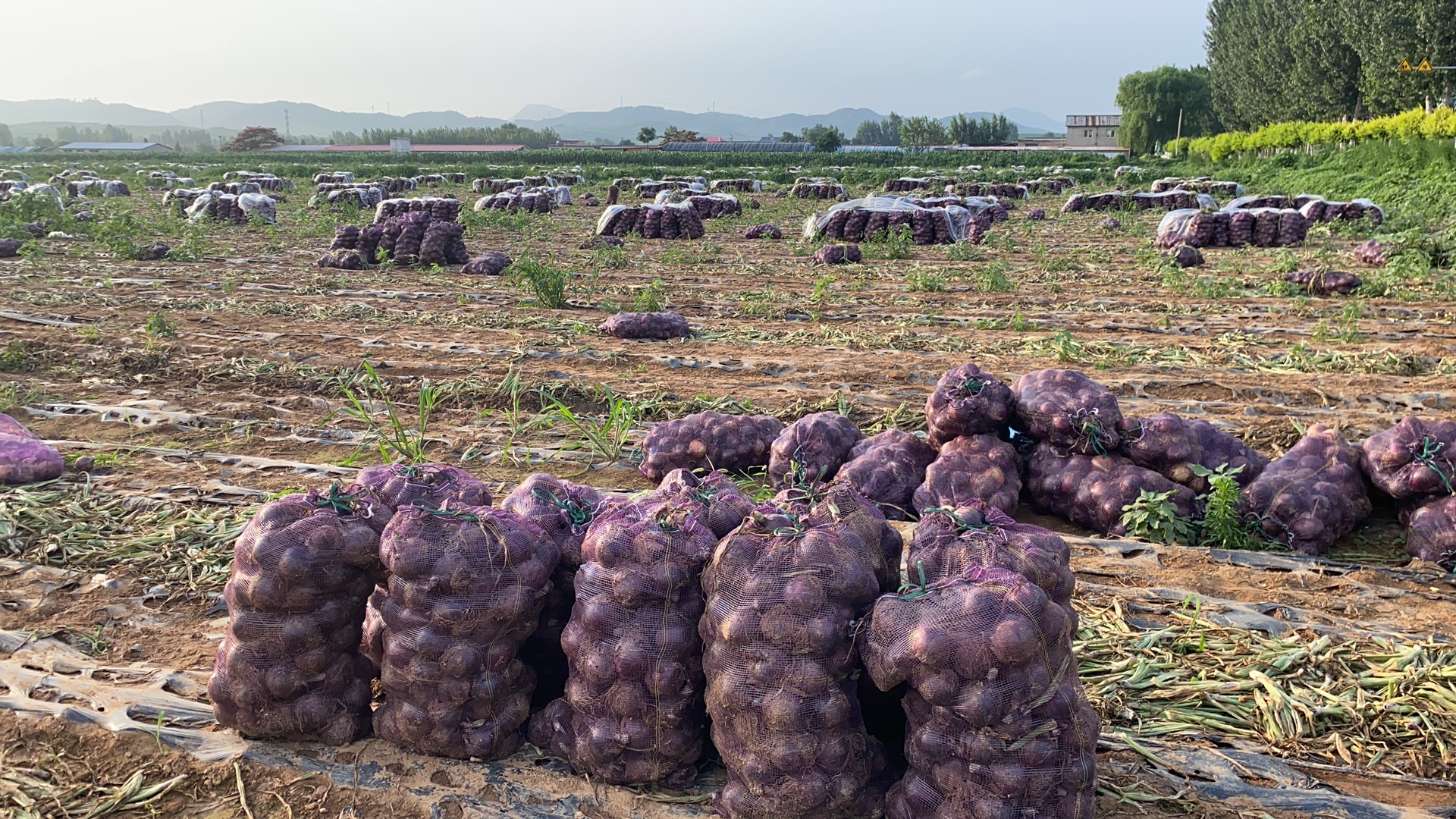 厨房食材储存技巧示意图