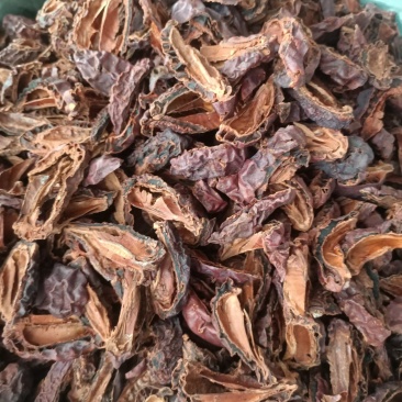 皱木瓜