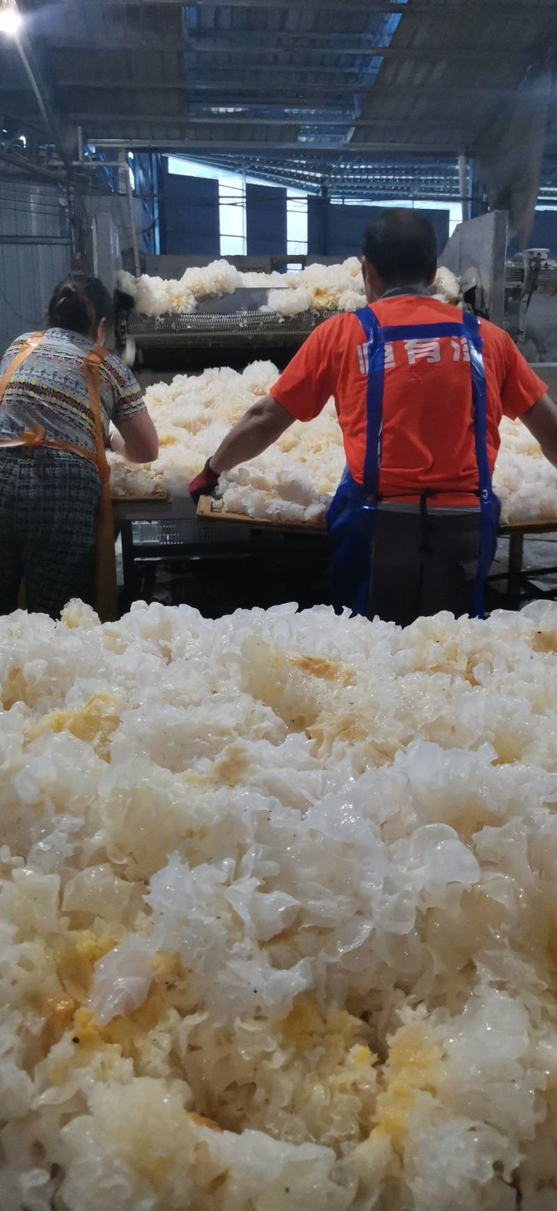 古田雪花银耳产地直销