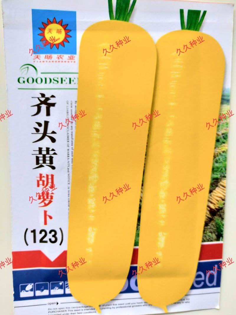 水果型齐头黄胡萝卜种子高产西洋参黄胡萝卜籽春秋冬播种蔬菜