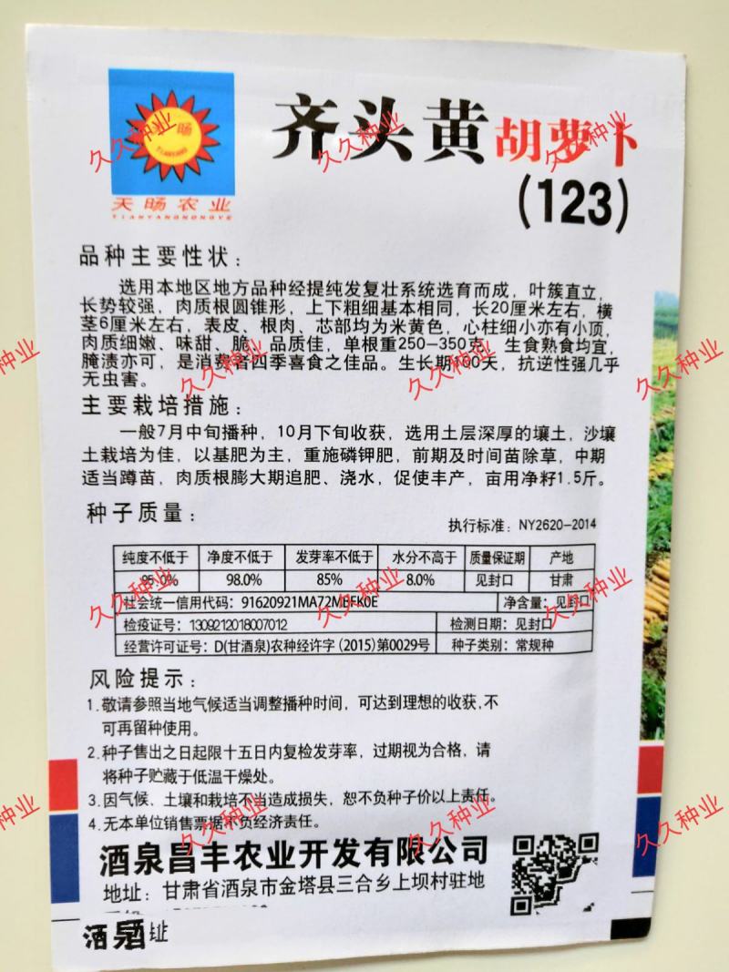 水果型齐头黄胡萝卜种子高产西洋参黄胡萝卜籽春秋冬播种蔬菜