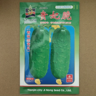 贵妃脆蓟农六号香味水果型黄瓜种子节节瓜水果黄瓜种籽