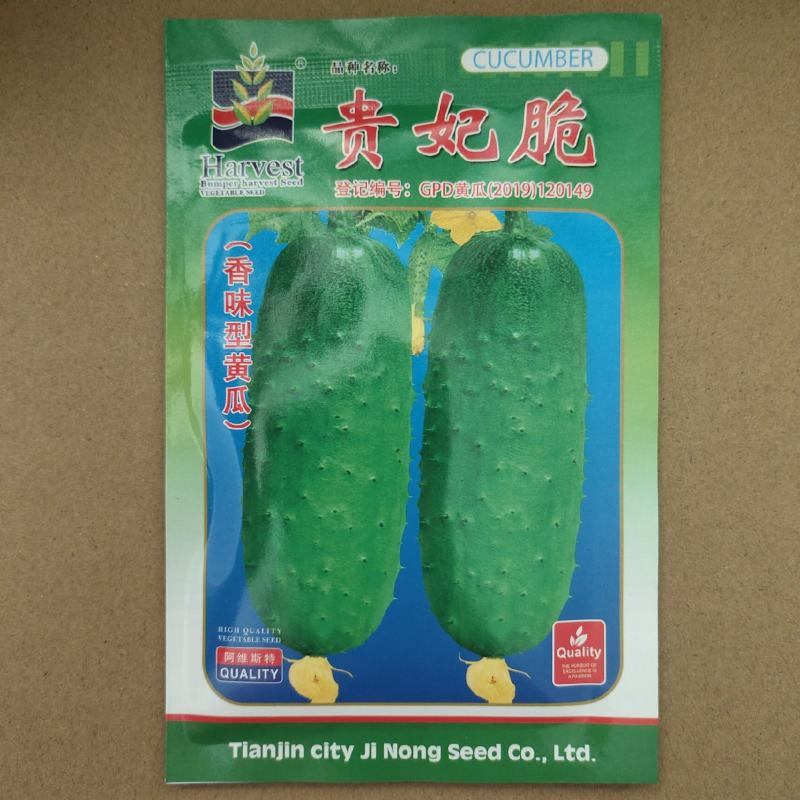 贵妃脆蓟农六号香味水果型黄瓜种子节节瓜水果黄瓜种籽