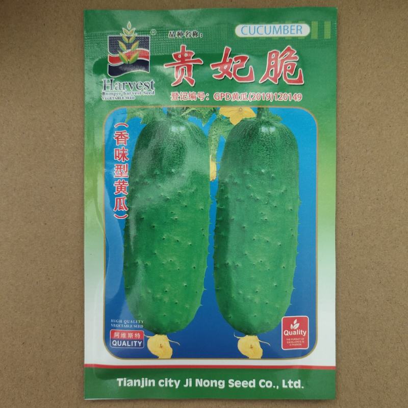 贵妃脆蓟农六号香味水果型黄瓜种子节节瓜水果黄瓜种籽