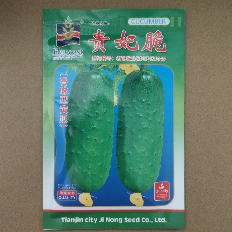 贵妃脆蓟农六号香味水果型黄瓜种子节节瓜水果黄瓜种籽