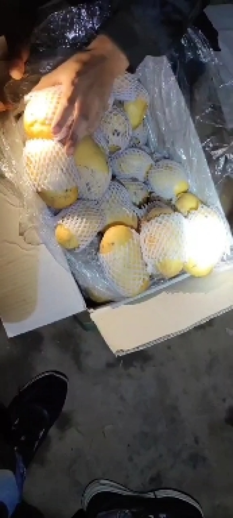 山东精品荷兰十五土豆产地直供量从从优对接全国商超