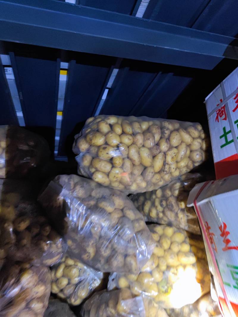 山东精品荷兰十五土豆产地直供量从从优对接全国商超