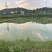 鱼塘出租，两口用于赌塘，一口58×36一口52×23米！