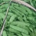 大油豆角，小油豆角大量上市，产地直供保质保量，代收代发