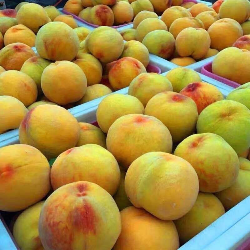 黄桃