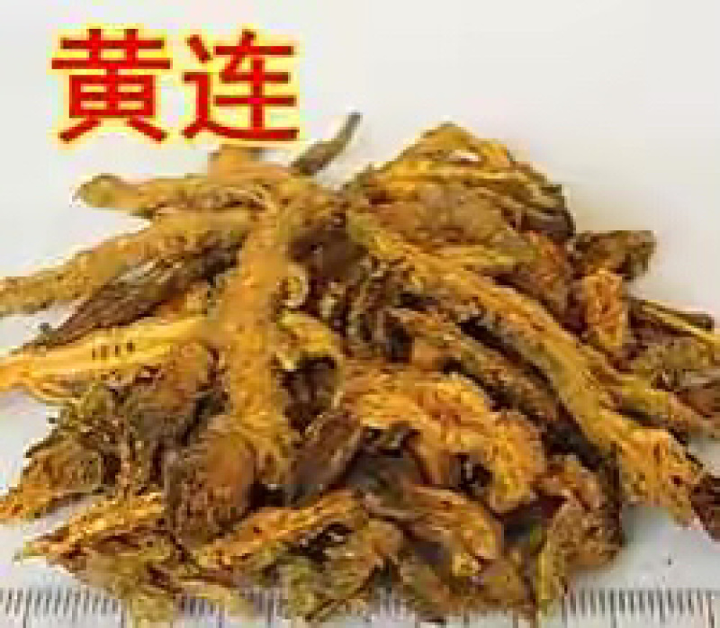 中药材无硫黄连黄连片各种规格供应。欢迎老板考察
