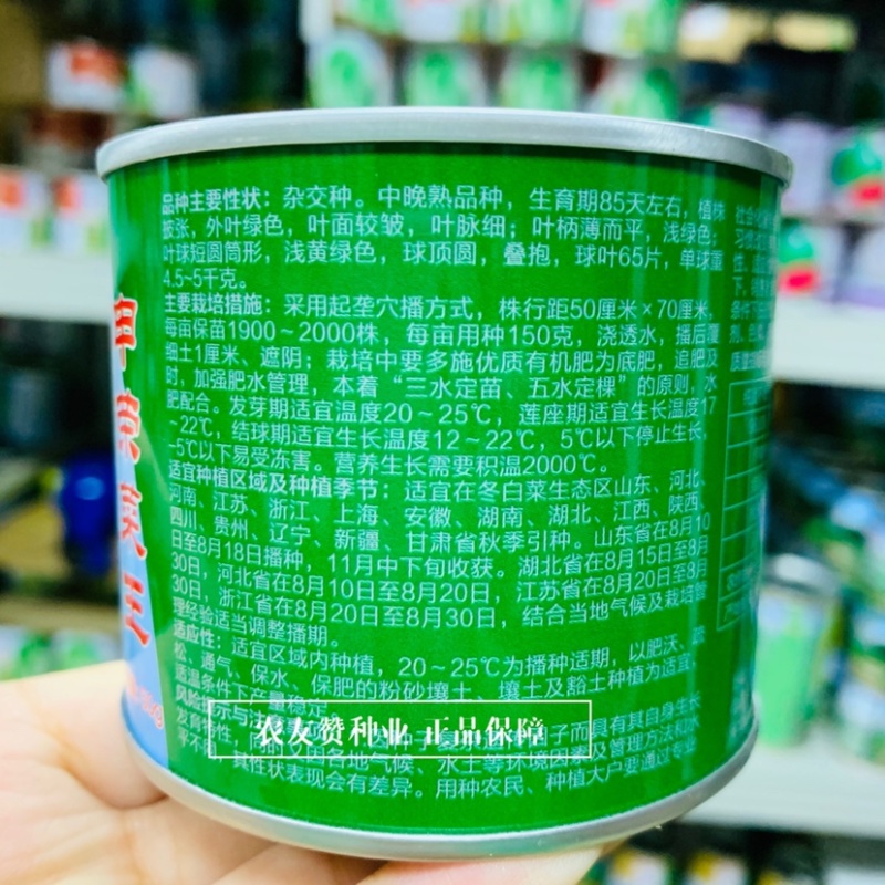 申荣菜王大白菜种子基地专用好吃好卖，高产结球白菜种子