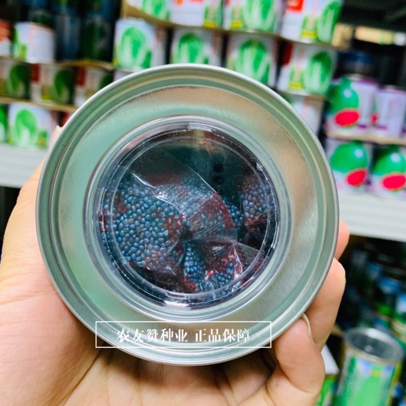 申荣菜王大白菜种子基地专用好吃好卖，高产结球白菜种子