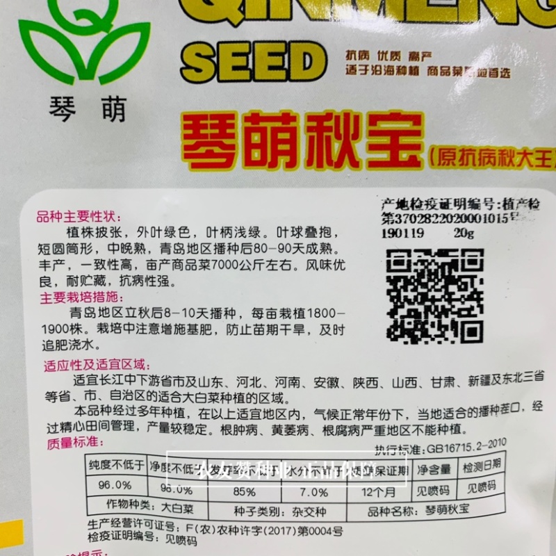 琴萌秋宝大白菜种子抗病高产短圆筒形秋季大白菜种子