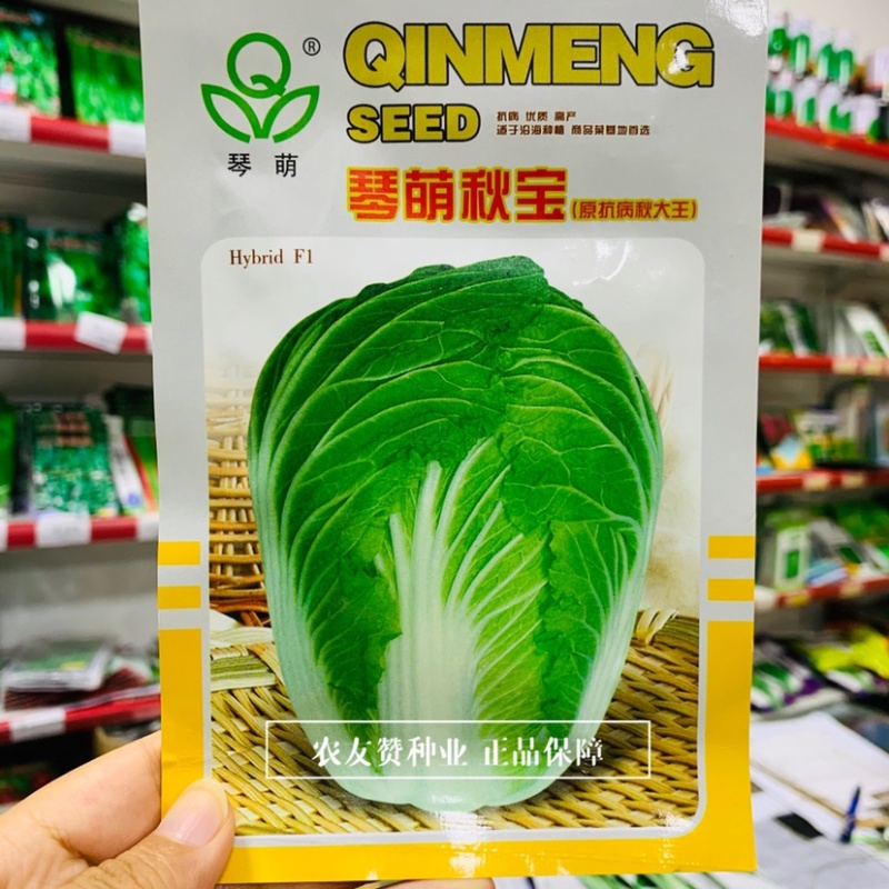 琴萌秋宝大白菜种子抗病高产短圆筒形秋季大白菜种子