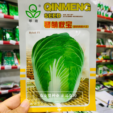 琴萌秋宝大白菜种子抗病高产短圆筒形秋季大白菜种子