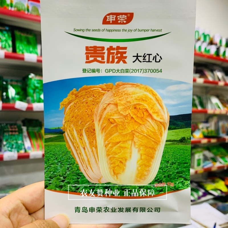 申荣贵族大红心白菜种子火凤凰大白菜种子品质好早熟秋白菜