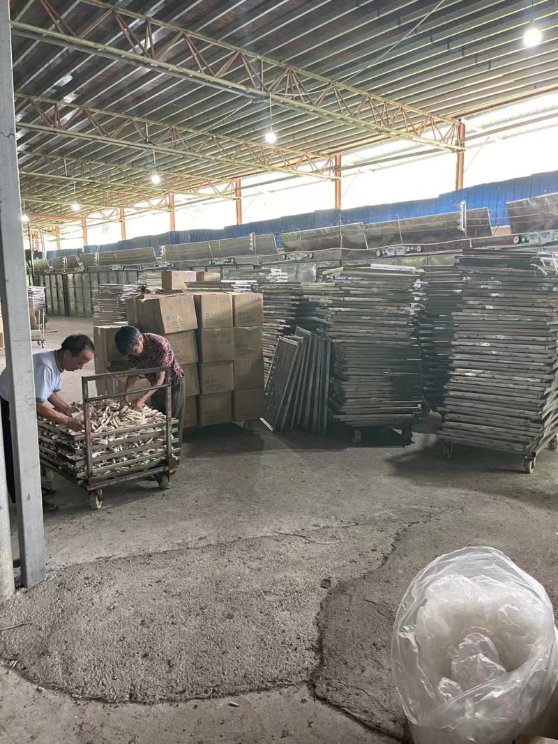 鹿茸菇产地直销量大价优品种多欢迎咨询