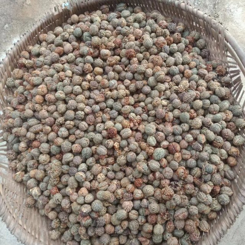 草扣，草菀