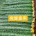 山东聊城密刺黄瓜