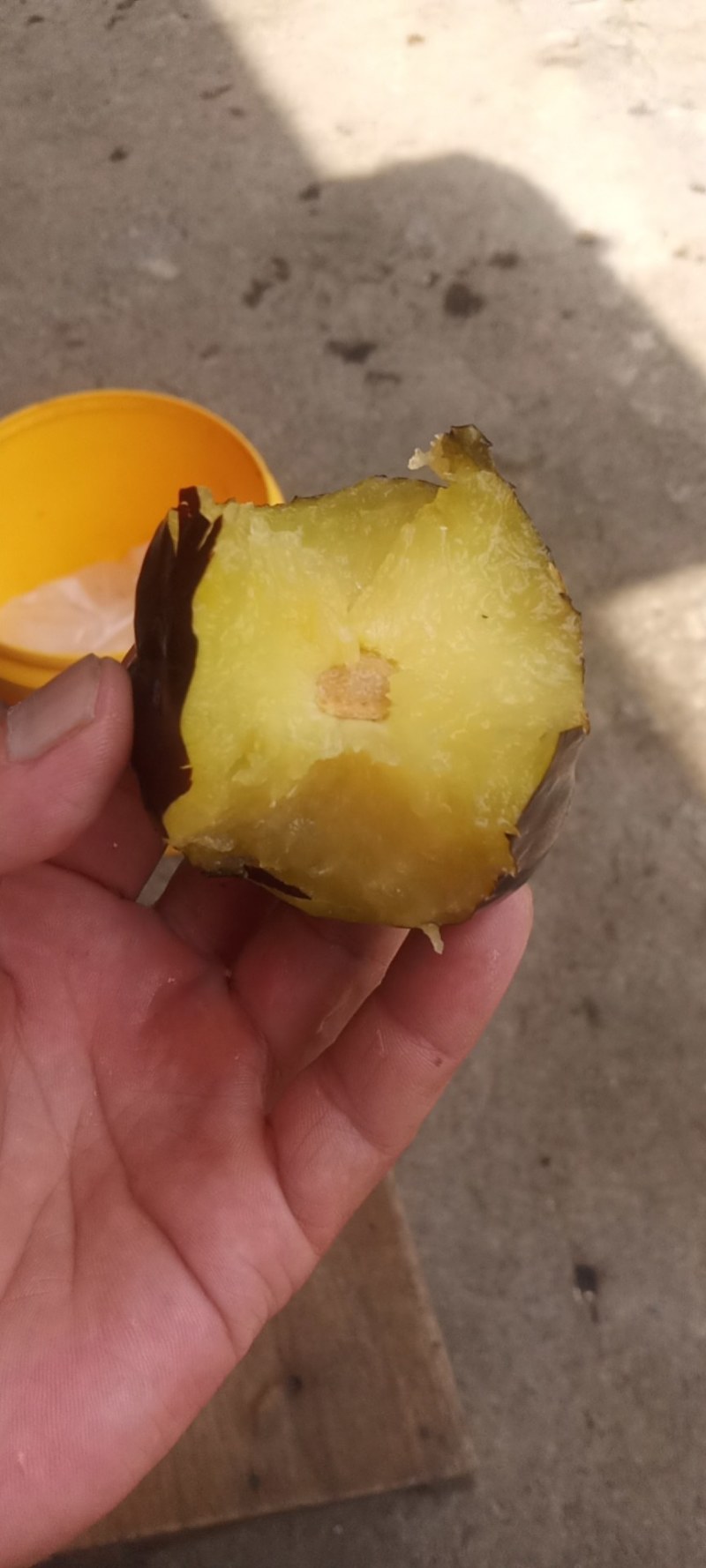 迟黑李上市