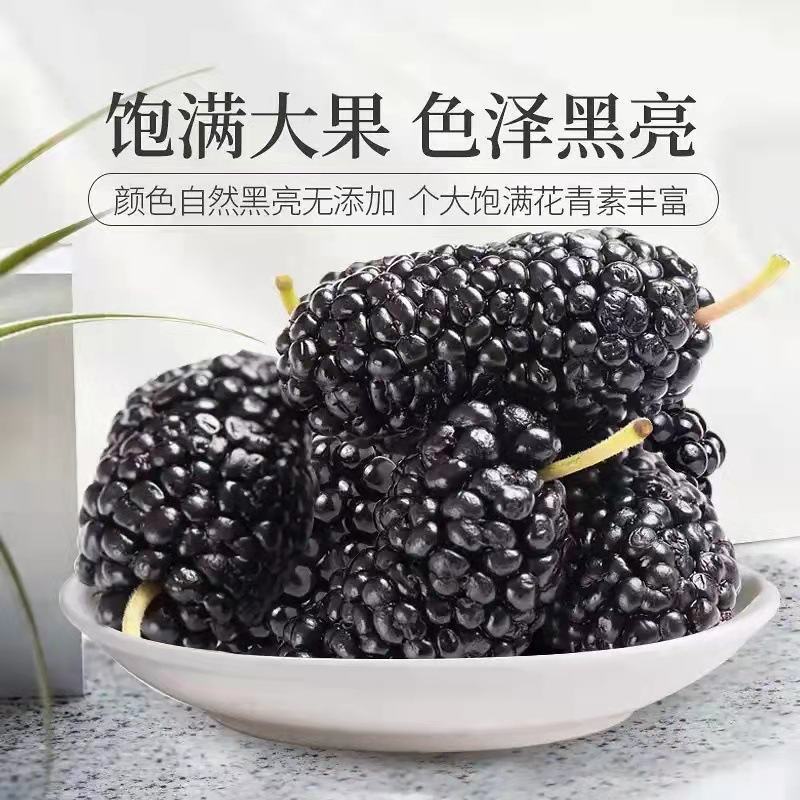 桑葚干产地直发原产地直销批发零售