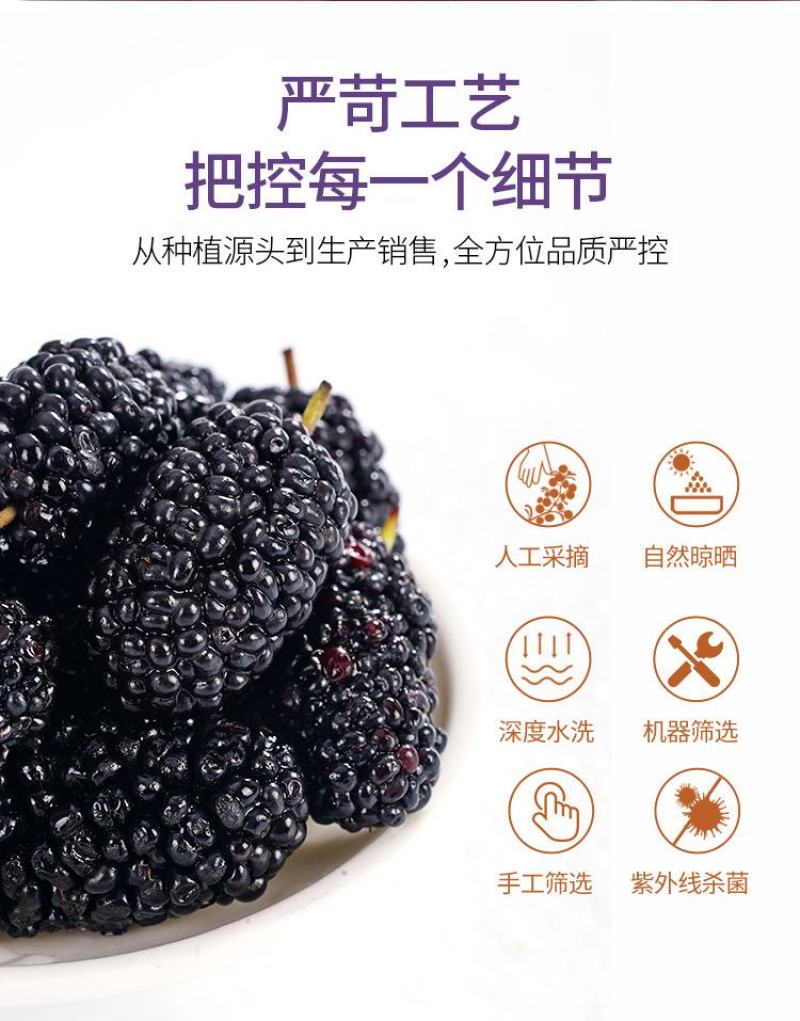 桑葚干产地直发原产地直销批发零售